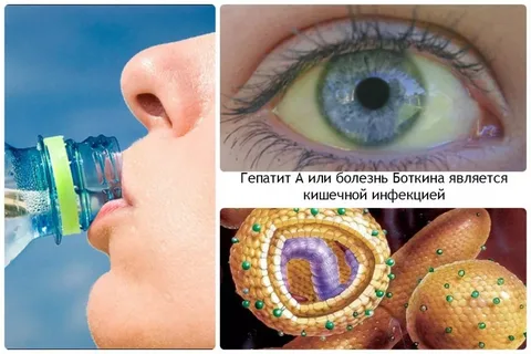 Профилактика Гепатита А